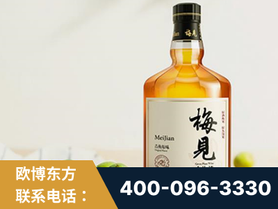 老河口-梅见青梅酒
